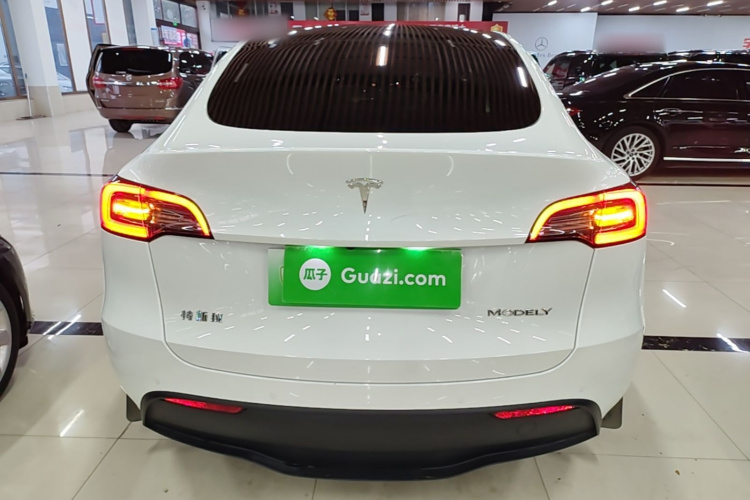 Tesla Model Y 2023 car image #6