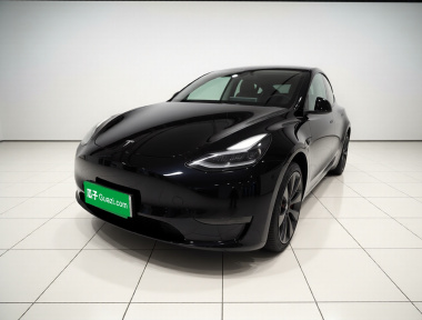 Tesla Model Y 2021 Tesla Model Y 2021 car image