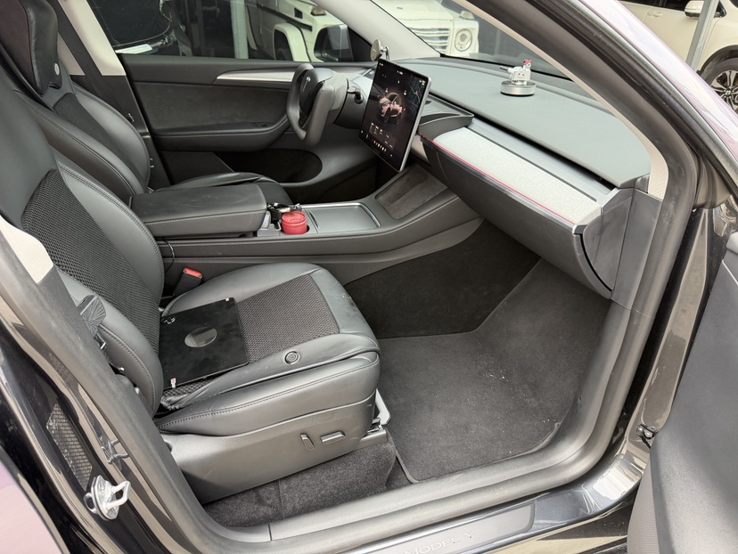 Tesla Model Y 2024 car image #6