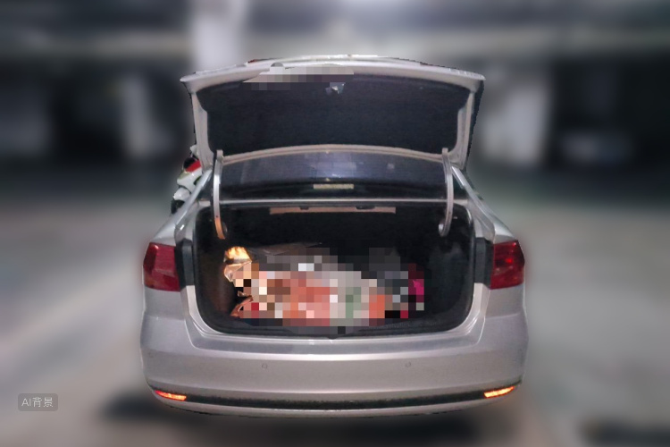 Volkswagen Bora 2016 immagine di auto #21