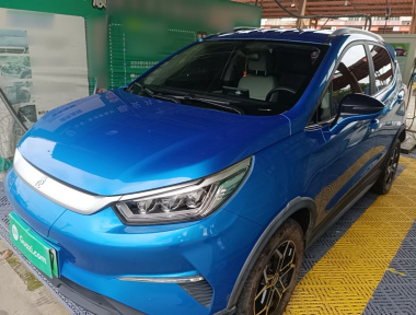 BYD Yuan Pro 2021 car image 
