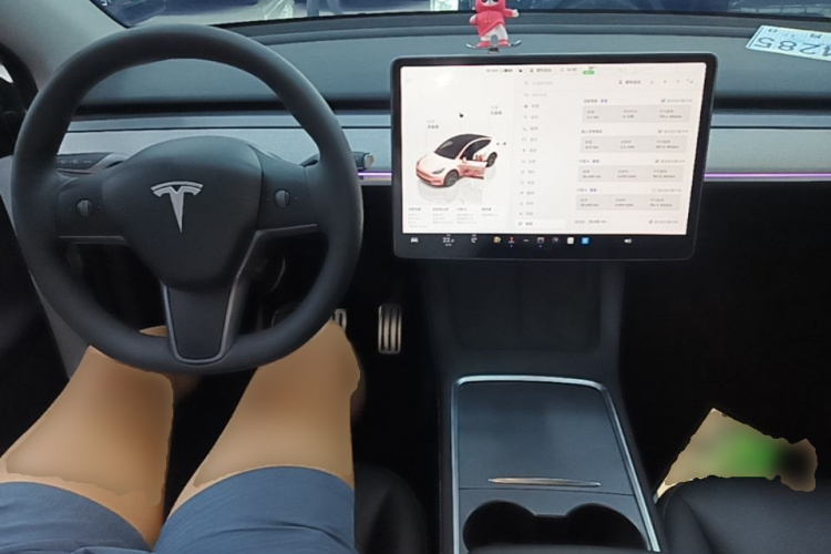 Tesla Model Y 2024 #10 Tesla Model Y 2024 car image #10