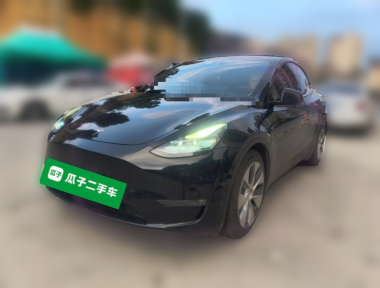 Tesla Model Y 2021 Tesla Model Y 2021 car image