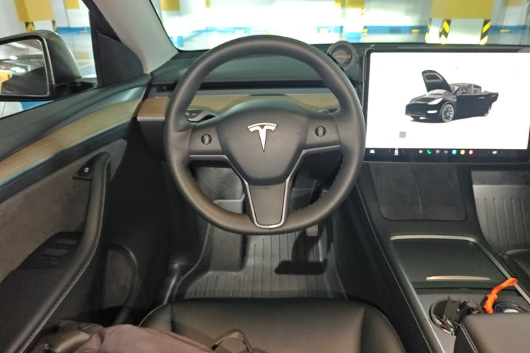 Tesla Model Y 2022 car image #11