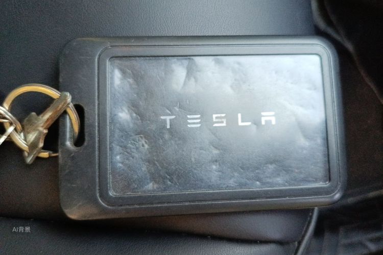 Tesla Model 3 2021 car image #10