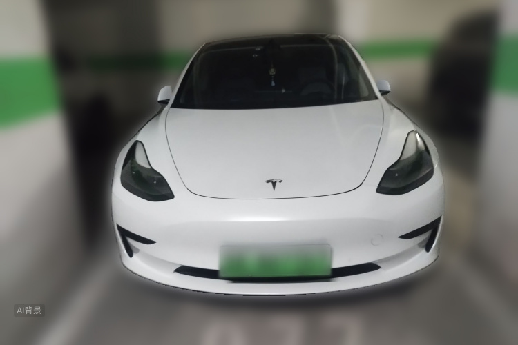 Tesla Model 3 2021 #3 Tesla Model 3 2021 car image #3