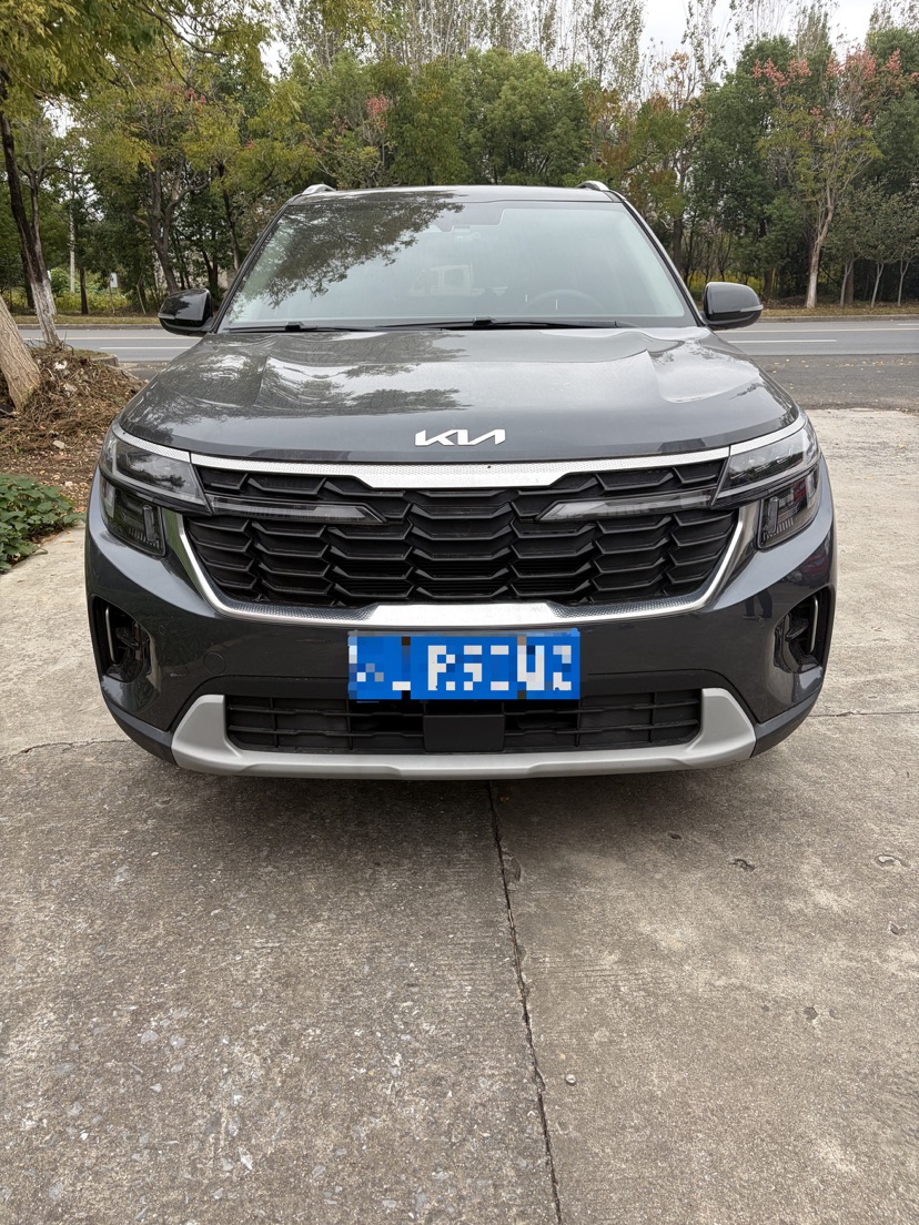 Kia Seltos 2024 imagen de coche #2