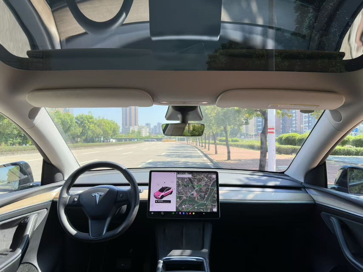 Tesla Model Y 2022 #6 Tesla Model Y 2022 صورة سيارة #6