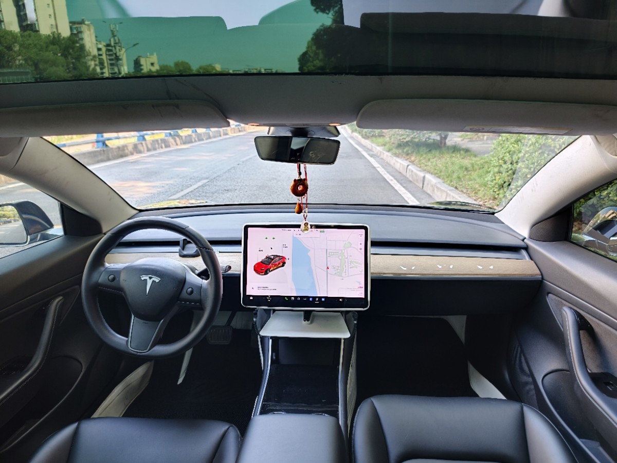 Tesla Model 3 2020 car image #5