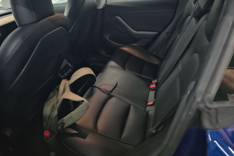 Tesla Model 3 2020 car image #17