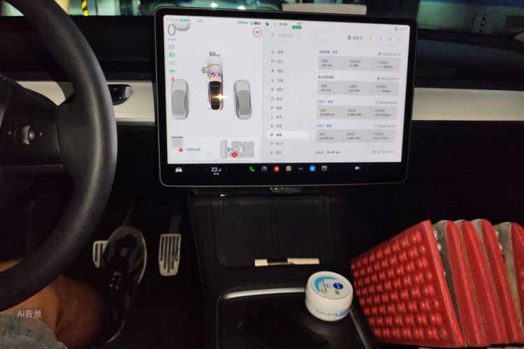 Tesla Model Y 2023 car image #15