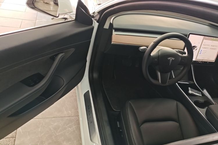 Tesla Model 3 2020 car image #16