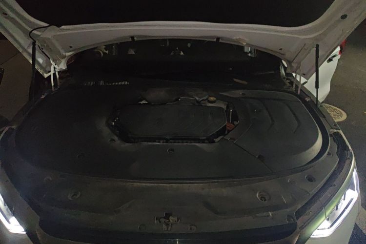 BYD Han 2021 immagine di auto #22