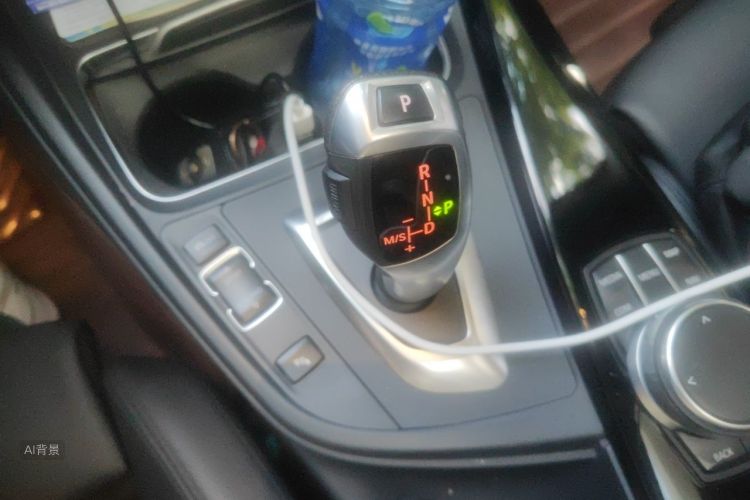 BMW 3 Series 2018 car image #16