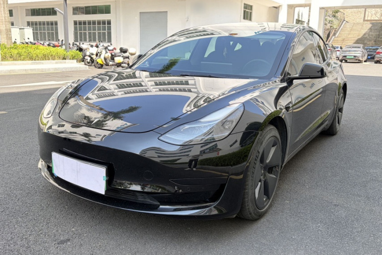 Tesla Model 3 2021 car image #3