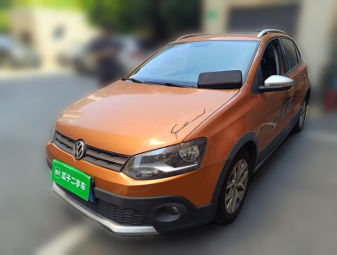 Volkswagen Polo 2015 Volkswagen Polo 2015 car image