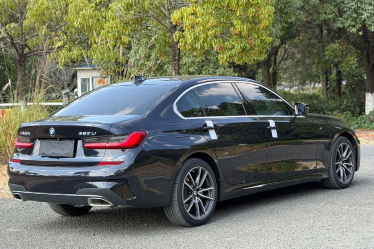 BMW 3 Series 2020 imagem de carro #7