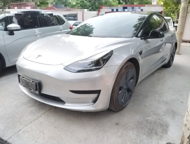 Tesla Model 3 2021 car image 