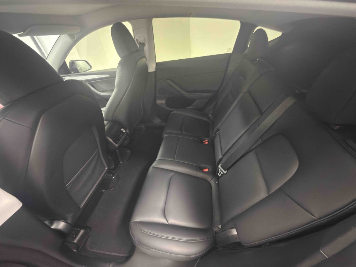 Tesla Model Y 2025 car image #4
