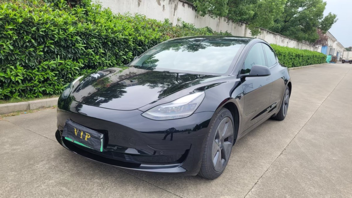 Tesla Model 3 2021 Tesla Model 3 2021 car image