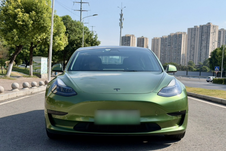 Tesla Model 3 2021 car image #7
