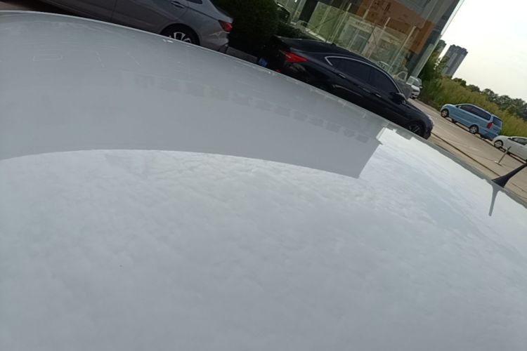 Volkswagen Polo 2017 car image #25