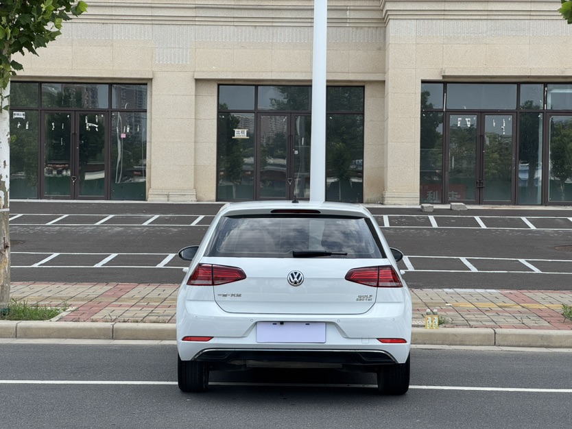 Volkswagen Golf 2019 #12 Volkswagen Golf 2019 car image #12