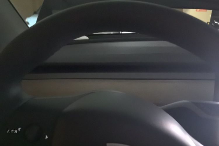 Tesla Model Y 2022 car image #13