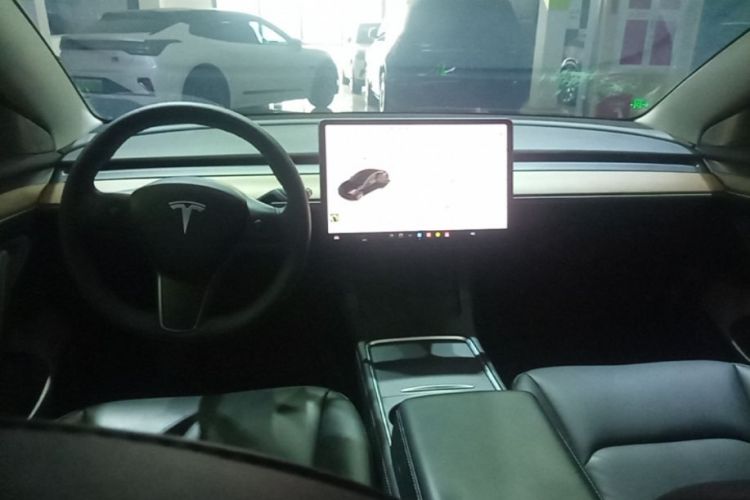 Tesla Model 3 2021 #10 Tesla Model 3 2021 car image #10