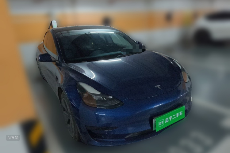 Tesla Model 3 2021 car image #4