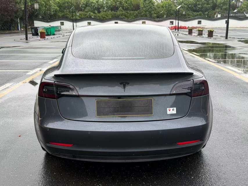 Tesla Model 3 2020 #8 Tesla Model 3 2020 car image #8