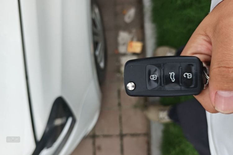 Volkswagen Polo 2019 car image #10