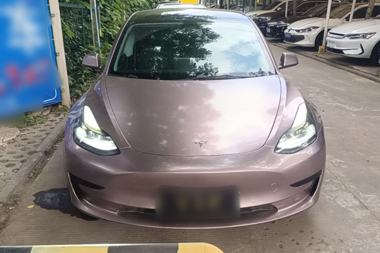 Tesla Model 3 2021 #3 Tesla Model 3 2021 car image #3