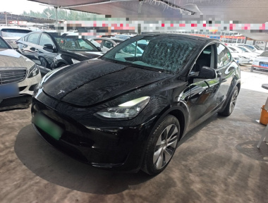 Tesla Model Y 2023 Tesla Model Y 2023 car image