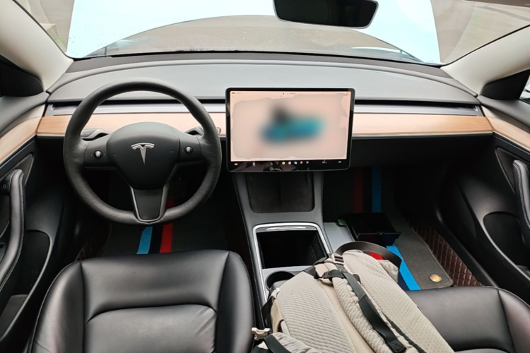 Tesla Model 3 2022 #10 Tesla Model 3 2022 صورة سيارة #10