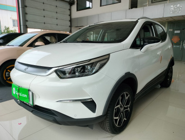 BYD Yuan Pro 2021 immagine di auto 