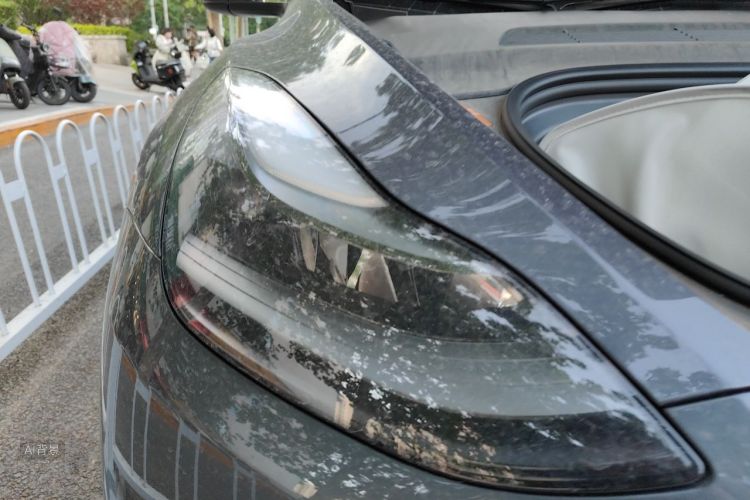 Tesla Model Y 2021 #8 Tesla Model Y 2021 car image #8