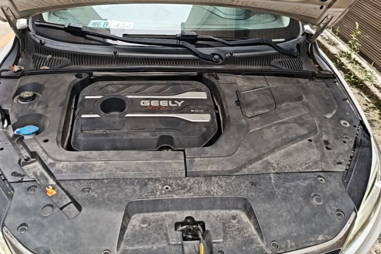 GEELY Binray 2019 #20 GEELY Binray 2019 immagine di auto #20