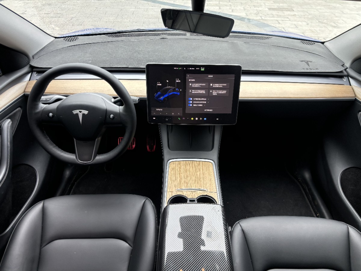 Tesla Model Y 2021 car image #6
