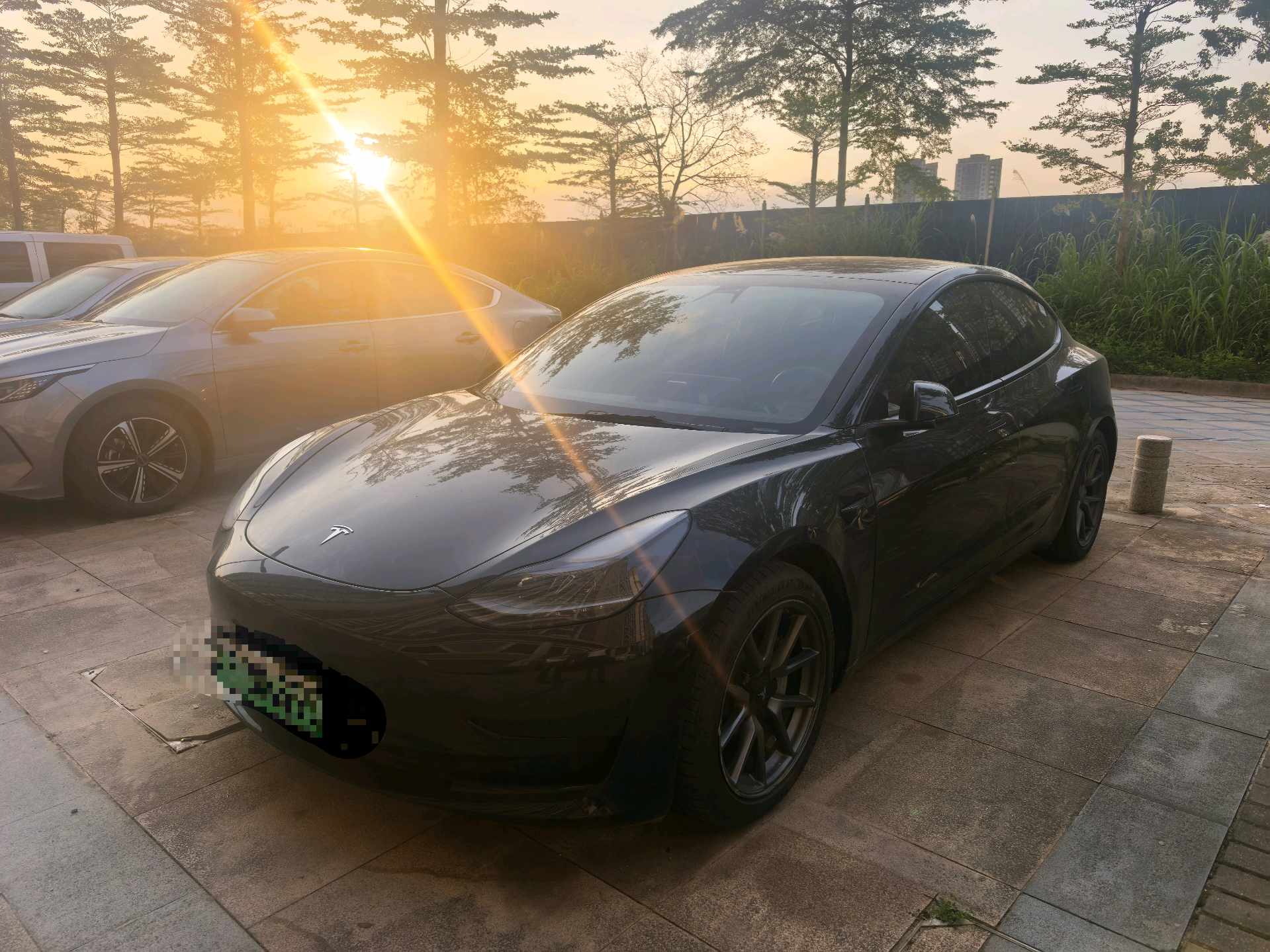 Tesla Model 3 2021 Tesla Model 3 2021 car image