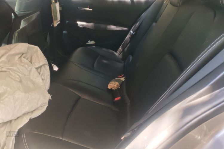Toyota Corolla 2020 car image #19