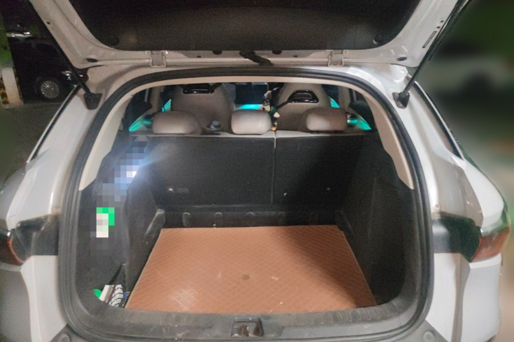 BYD Yuan Plus 2023 car image #21
