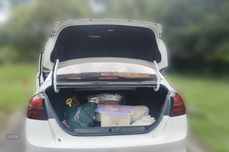 GEELY Emgrand 2018 car image #21