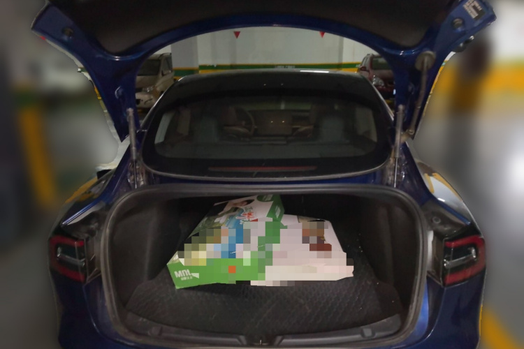 Tesla Model 3 2020 #21 Tesla Model 3 2020 car image #21