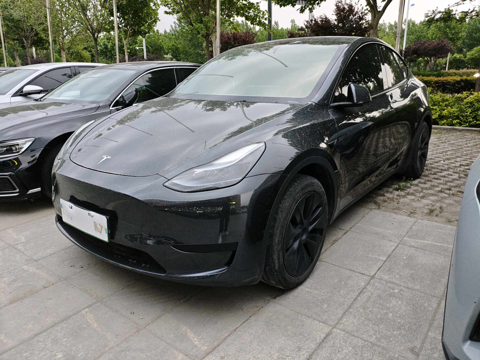 Tesla Model Y 2024 Tesla Model Y 2024 car image