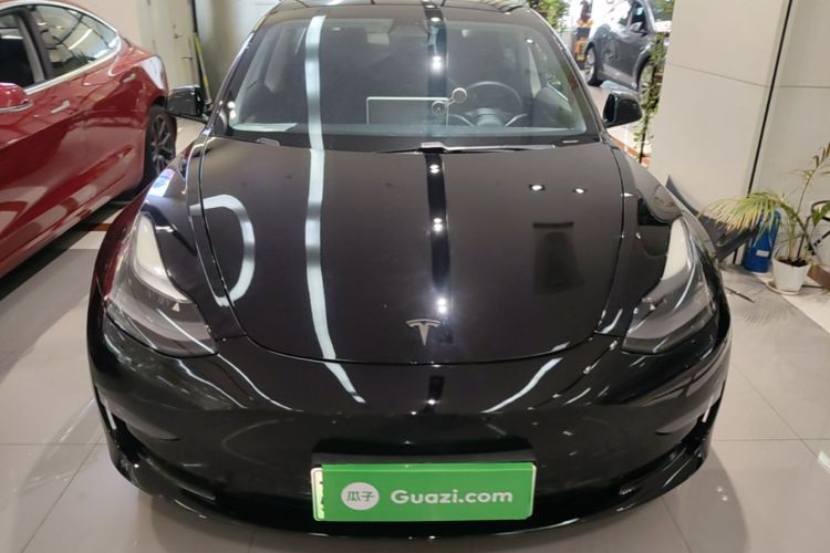 Tesla Model 3 2021 immagine di auto #3
