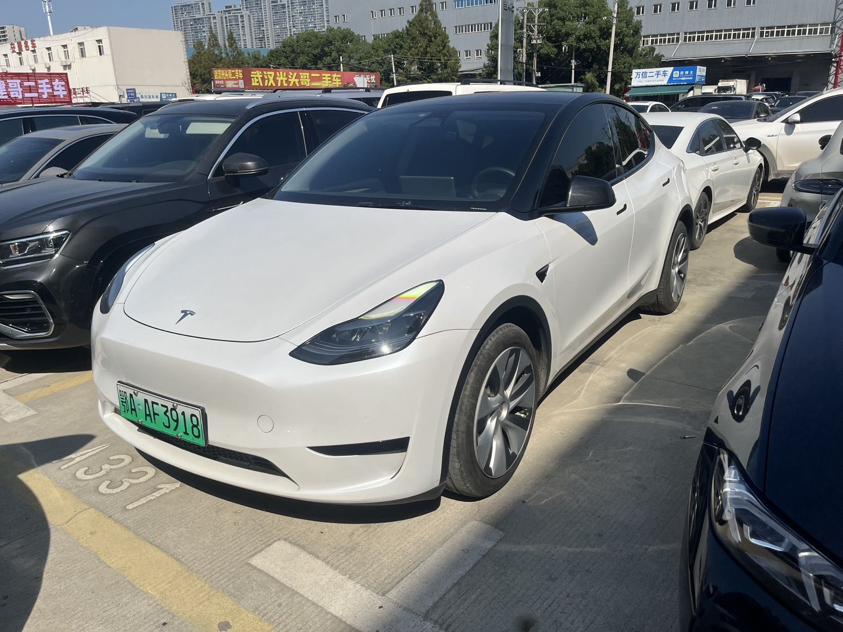 Tesla Model Y 2023 car image 