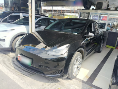Tesla Model Y 2023 immagine di auto 