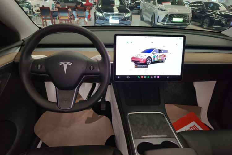 Tesla Model Y 2023 #14 Tesla Model Y 2023 car image #14