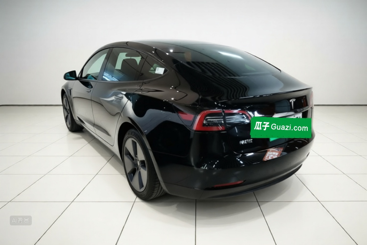 Tesla Model 3 2021 car image #5